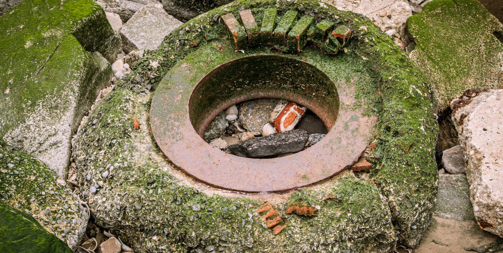 art-of-sandy-mo-seagate 2-60.jpg